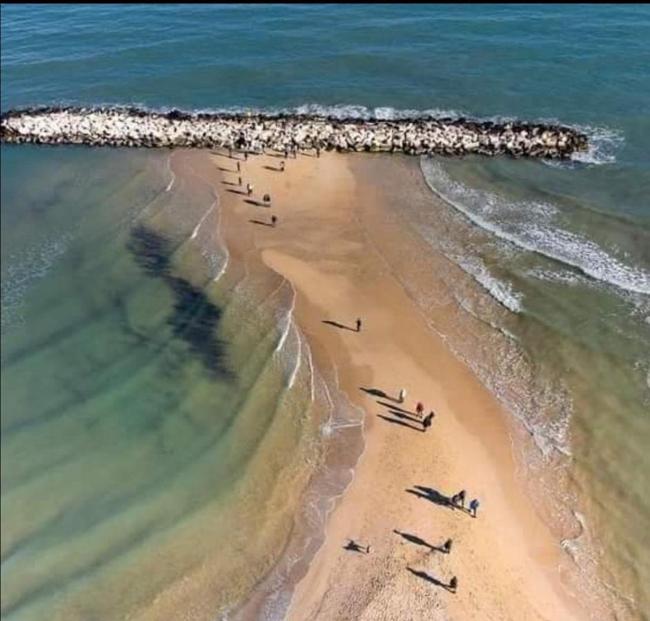Summer Paradise Bari Dış mekan fotoğraf
