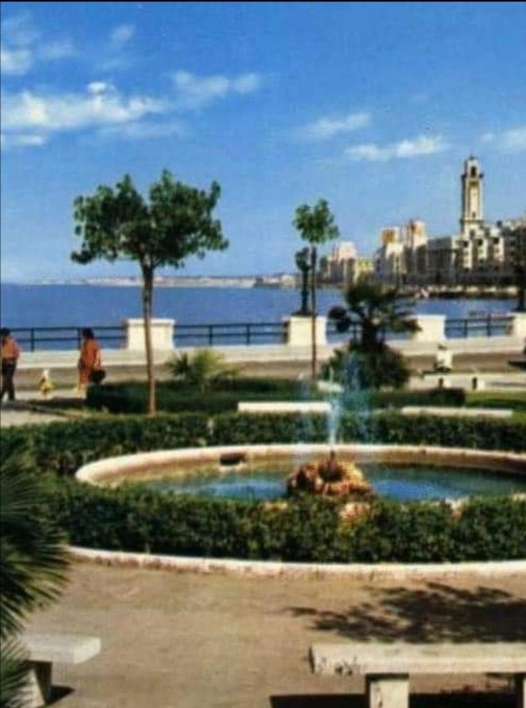 Summer Paradise Bari Oda fotoğraf