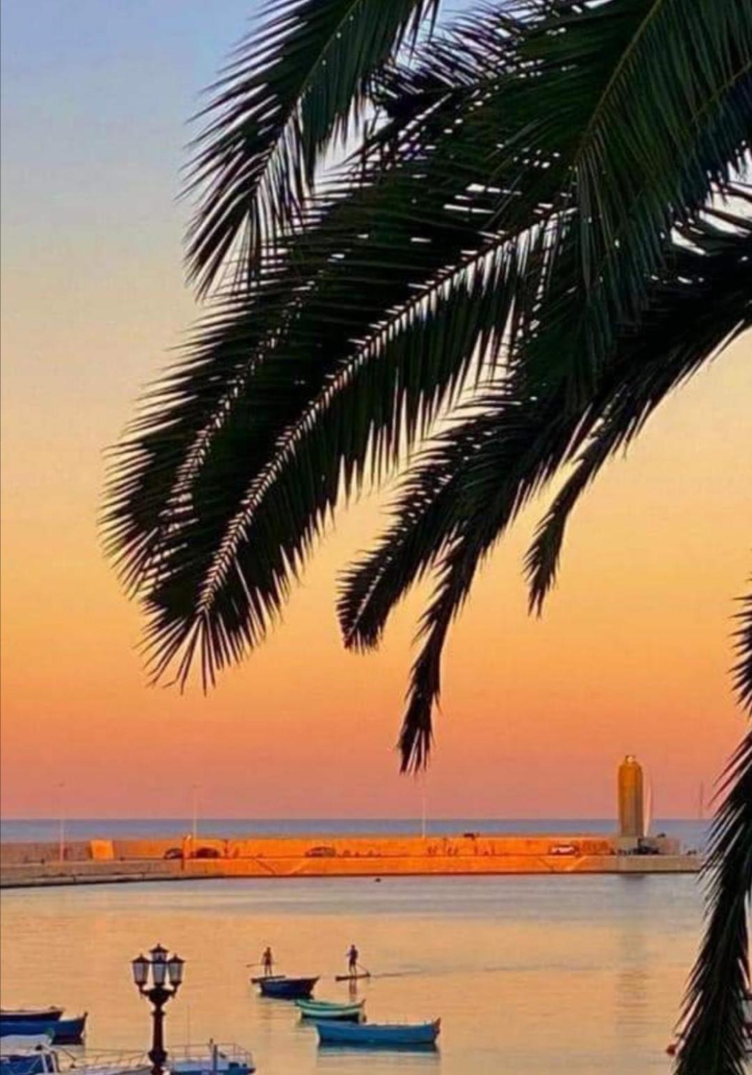 Summer Paradise Bari Oda fotoğraf