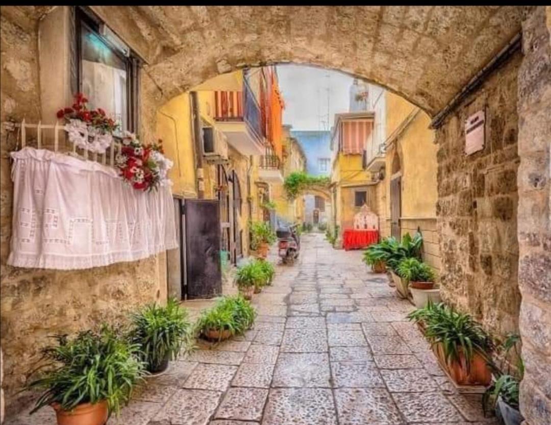 Summer Paradise Bari Oda fotoğraf